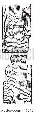 Dovetail, vintage engraved illustration. Dictionary of words and things - Larive and Fleury - 1895.