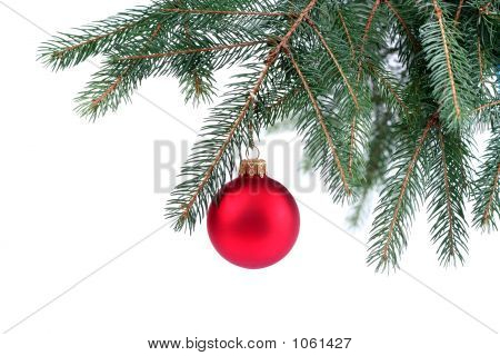 Ornamento di Natale appeso su un albero