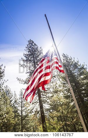Dramatic Half Mast American Flag Among Trees.