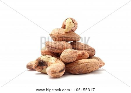 cashew nut