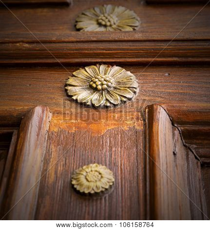 Abstract  Rusty Brass Brown Knocker Gallarate Varese