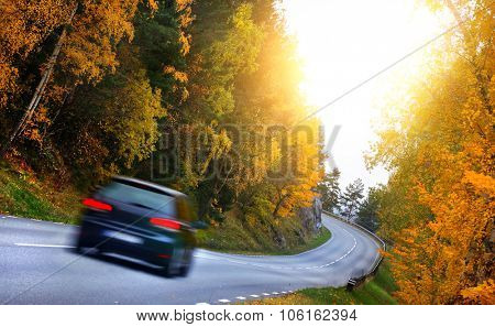 Car on the road in the fores