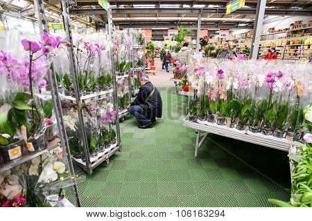 MOSCOW, RUSSIA - MARCH 04 2015: Orchids in OBI store in Moscow Russia. OBI is a German retail chain