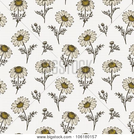 Chamomile flower seamless pattern
