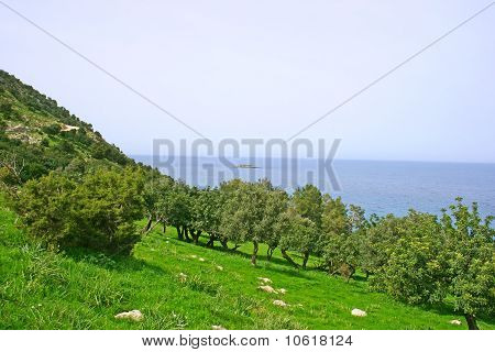 Akamas