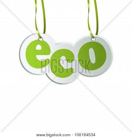 Hanging Ecology