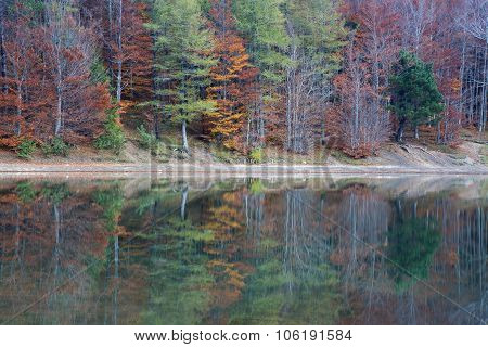 Autumn Colors