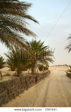 Manhã no deserto.
