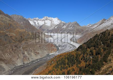 Golden Autumn Day At The Aletsch Glacier