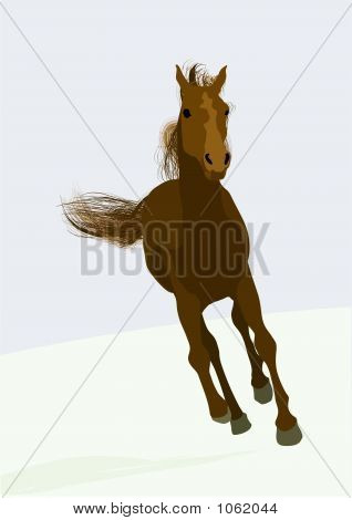 Carreras de caballos