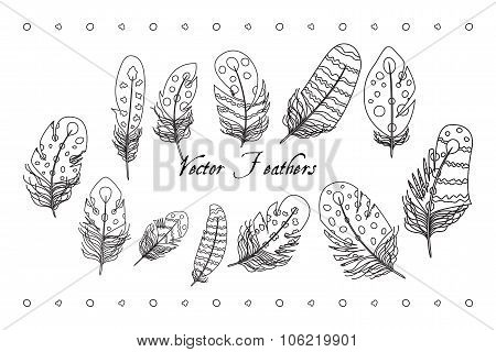 Feather Line Set