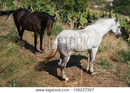 Banios De Encina, Andalusia, Spain