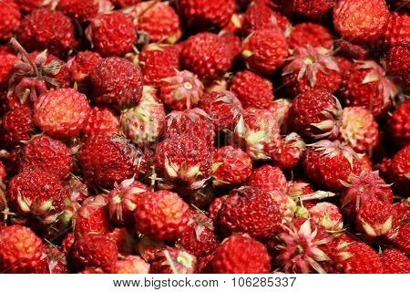 Strawberries
