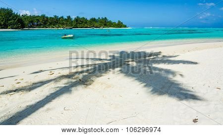 Incredible Ocean Of Cook Islands