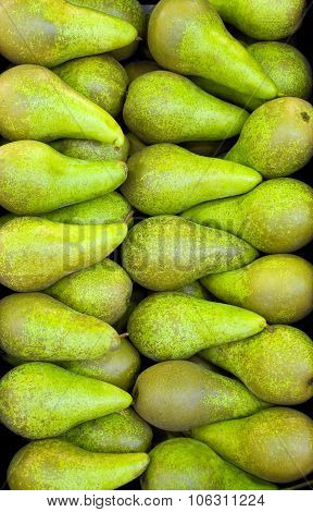 yellowish-green  Conference pears close-up