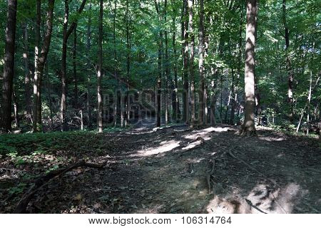 Path to a Footbridge