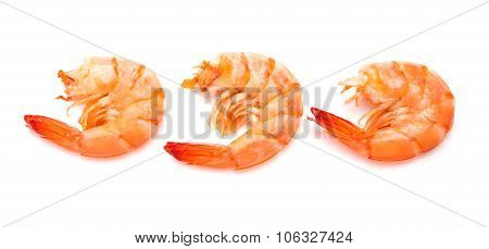 Three Unskin Shrimps On A White Background