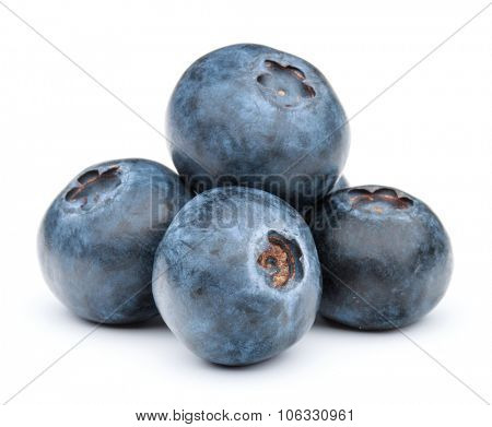 blueberry or bilberry or blackberry or blue whortleberry or huckleberry isolated on white background cutout