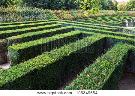 Green Maze Of Schonbrunn Palace Garden, Vienna