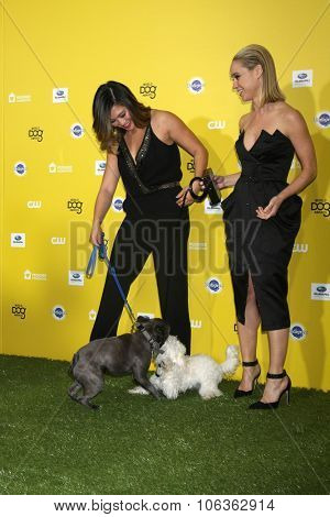 LOS ANGELES - JAN 10:  Jenna Ushkowitz, Bear, Becca Tobin, Sophie at the CW Network presents 