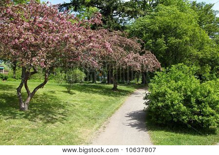 Park ve Stockholmu