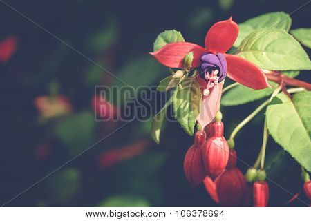 Beautiful Blooming Orchids In Forest