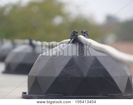 Lightning Conductor
