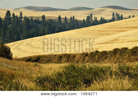 Palouse paese 1