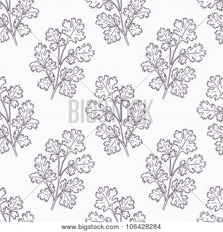 Hand drawn cilantro branch outline seamless pattern