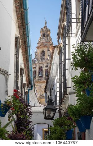 Street Of Flowers In Cordoba In Spain