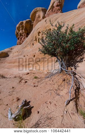 Devils Garden Escalante At Night