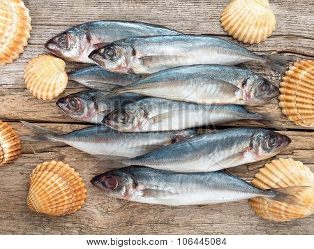 Carangidae Fishes And Seashells On The Gray Wooden Board