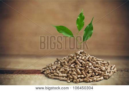 Biomass.