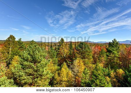 Adirondacks Fall Foliage, New York