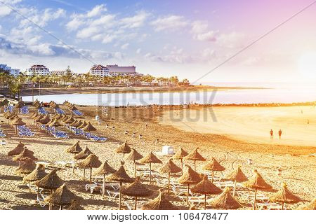 Straw Umbrellas And Loungers On The Playa De Las Americas, Tenerife