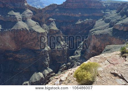The Grand Canyon