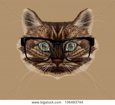 Cat Portrait