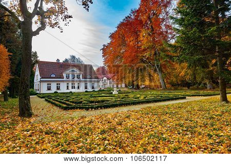 Park In Autumn
