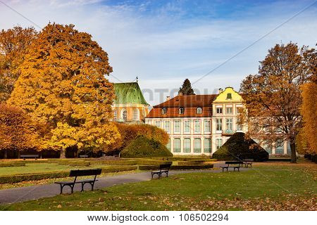 Park In Autumn