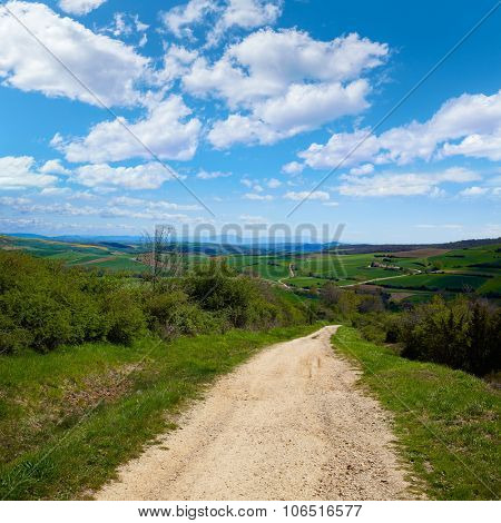 Montes de Oca track by the Way of Saint James in Castilla Burgos