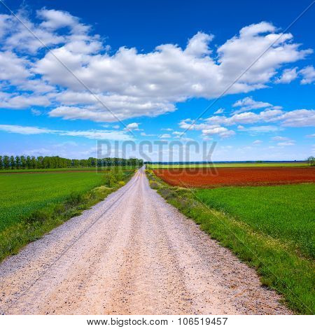 The way of saint James neverending cereal fields at Palencia Spain