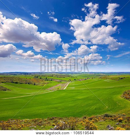 The way of Saint James from Atapuerca cross to Burgos in Castilla
