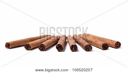 Brown Cigar Burned On White Background