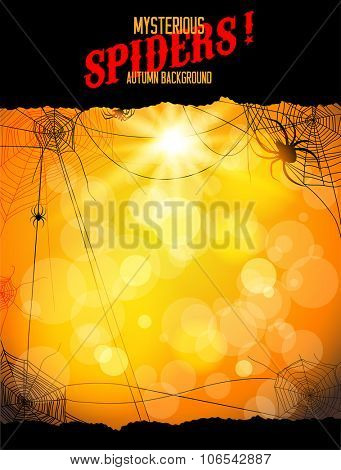 Orange backdrop with spiders and web. Design for card, banner, invitation, leaflet and so on.