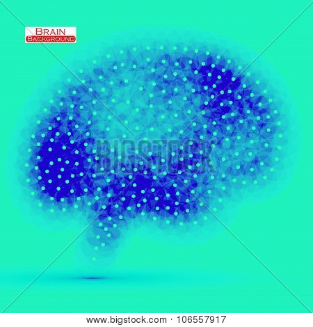 Neon brain. Vector illustration. Eps 10