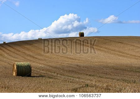 Nature in south Sweden in the province of Skaane