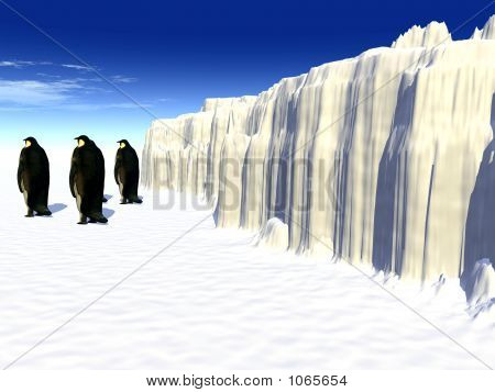 Pinguïns 19