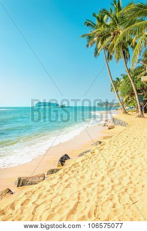 Exotic beach with golden sand and palm trees