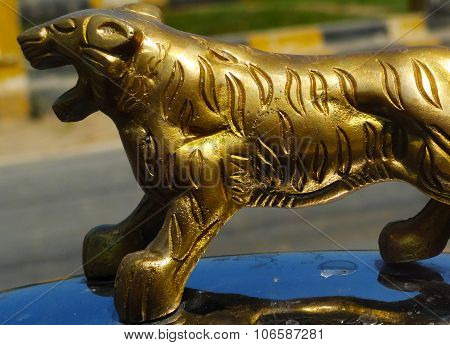 Gold Metal Tiger on Silver Surface