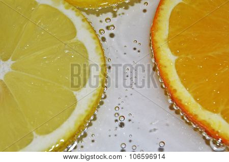 CITRUS